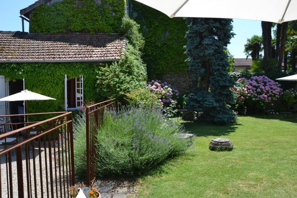Bed and Breakfast La Baguenaude Marciac Zimmer foto